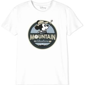 Disney Bodmickts102 T-shirt voor jongens (1 stuk), Wit.