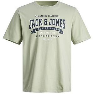 JACK&JONES JUNIOR Jjelogo T-shirt met kraag 2 kraag 23/24 Noos Jnr T-shirt voor jongens, Desert Sage