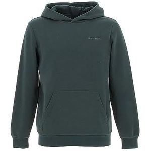 Teddy Smith S-nark Hoody Jr Sweatshirt met capuchon voor jongens, Scarabe Groen