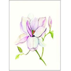 Komar Muurfoto | Magnolia Shine | Poster Woonkamer Slaapkamer Decoratie Kunst Print | zonder lijst | P073B-40 x 50 | Afmetingen: 40 x 50 cm (breedte x hoogte)