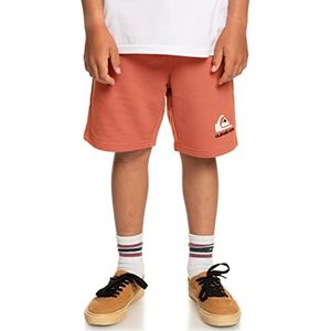 Quiksilver Easy Day shorts voor jongens