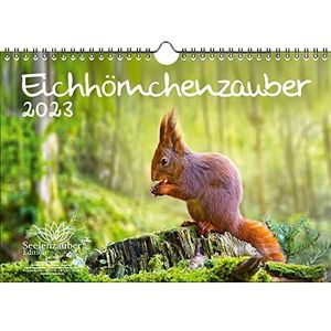 Eekhoorntje kalender A4 eekhoorn 2023