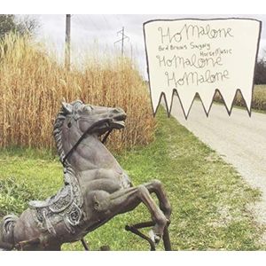 Bird Brains Singing Horse Music