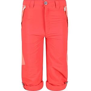 Regatta Sorcer Mt Trs V Pants Unisex, Neon roze/Coral Fusion