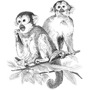 Pracht Creatives Hobby Royal & Langnickel Schetsen, eenvoudig schetsen voor kinderen vanaf 8 jaar, de afbeelding met apenmotief biedt een ideale instap in expressieve tekenen