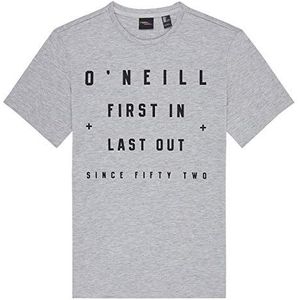 O'NEILL LM First In Last out T-shirt voor heren, zilvergrijs (zilvermele)