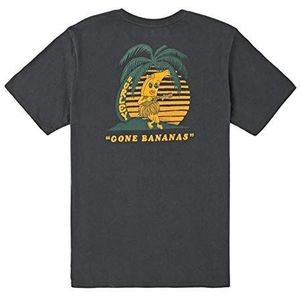 Hurley M Bnz Nanas T-shirt voor heren, S/S, Grijs (Dk Smoke Grey)