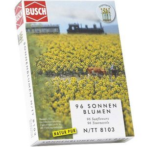 Busch Environnement - BUE8103 – modelbouw voor zonneveld
