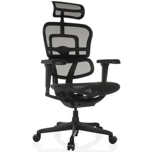 hjh OFFICE ERGOHUMAN Signature GEN2 Bureaustoel, ergonomische bureaustoel met flexibele lendensteun, mesh-weefsel, zwart