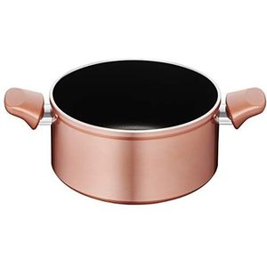Lagostina Ramata Braadpan met antiaanbaklaag van aluminium, diameter 24 cm, met koperen look, gasfornuis en oven met thermo-signaal, titanium Easy-coating, twee handgrepen van bakeliet