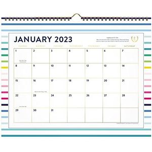 Emily Ley wandkalender 2023 voor AT-A-GLANCE, maandelijks, 38,1 x 30,5 cm, middelgroot, Happy Stripe (EL90-707)
