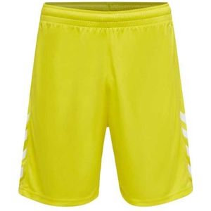 hummel Hmlcore Xk Poly Herenshorts