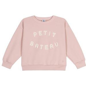 Petit Bateau SWEATSHIRT SALINE12A