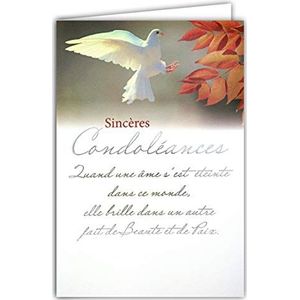 64-1073 Oprechte condoleancekaart met witte envelop – overlijden en rouw – begrafenisceremonie – zilveren tekst die duif en vrede ziel schijnt, gemaakt in Frankrijk