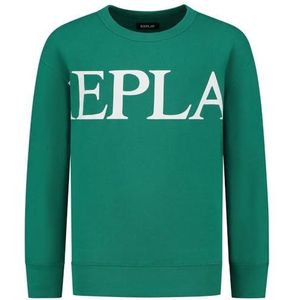 Replay Sweat-shirt pour garçon, 430 Sport Green, 6 ans