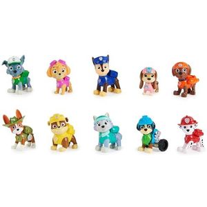 Paw Patrol Figuren van Paw Patrol voor 10e verjaardag, set met 10 figuren om te verzamelen, actiefiguren van Marcus, Stella, Ryder, speelgoed voor kinderen vanaf 3 jaar