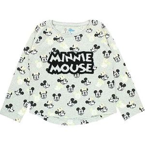 Disney Dis Mf 52 02 8919/8921 S2 T-shirt voor dames, grijs.