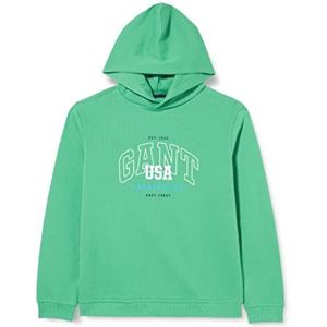 GANT Jongens Relaxed USA Hoodie Groen MID Standaard, Middengroen, 176, Medium Groen