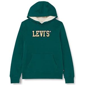 Levi'S Kids Sherpa Lined Pullover Hoodie voor jongens, 2-8 jaar, Forest Biome, 3 jaar, Forest Biome