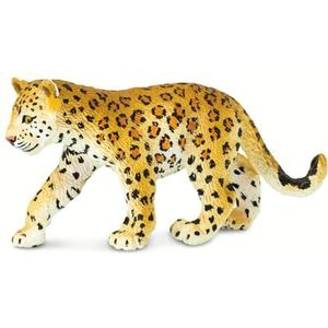Safari 2716-29 - Baby Leopard