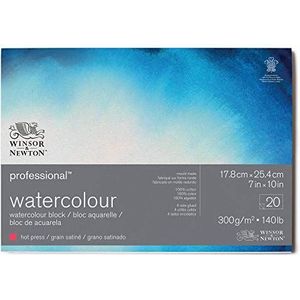 Winsor & Newton Papier, 100% katoen, gelijmd blok, satijn, 300 g, 17,8 x 25,4 cm, 20 F, 20 stuks