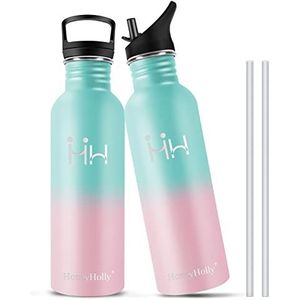 HoneyHolly Waterfles van roestvrij staal, 750 ml, roestvrij staal, rietje, BPA-vrij, milieuvriendelijke drinkfles, lekvrij, voor sport, fitnessstudio, reizen