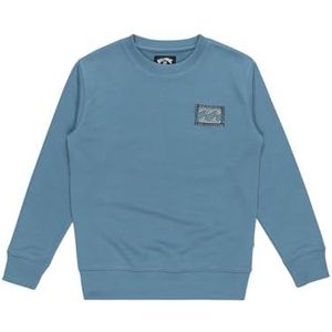 BILLABONG Foundation Cr Sweatshirt met capuchon voor jongens (1 stuk), Gletsjer Blauw, 10 jaar