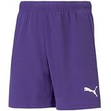 PUMA Teamrise Shorts – Shorts – Sport – Heren