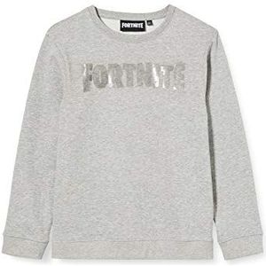 ARTESANIA CERDA Fortnite Brush fleece sweatshirt
