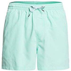 Quiksilver Everyday 15 inch - zwemshort voor mannen EQYJV03531.