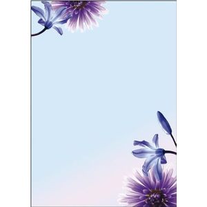 SIGEL Dp903 briefpapier, 21 x 29,7 cm, 90 g/m², lentebloemen, blauw en paars, 50 vellen,