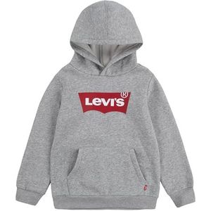 Levi's Kids Hoodie Batwing met Logo Grijs Melange