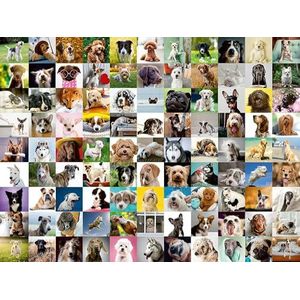 Ravensburger - Puzzel 99 Lovable Dogs 750 stukjes voor volwassenen en kinderen vanaf 12 jaar, 16939, meerkleurig, 80 x 60 x 0,2 cm