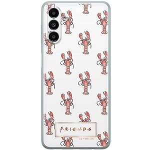 ERT GROUP Beschermhoes voor mobiele telefoon voor Samsung A13 5G Origineel en officieel gelicentieerd product Friends motief 010, perfect aangepast aan de vorm van de mobiele telefoon