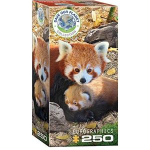 Eurographics EG82515557 Puzzel 250 Pc-Red Pandas, verschillende