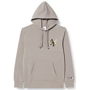 Champion Hoodie heren grijs (Cdb), XXL, grijs (CdB)