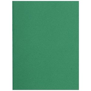 Exacompta - Ref. 150004E - pak van 100 FLASH mappen van 80 g/m2 in felle kleuren - 100% gerecycled en Blue Angel gecertificeerd - afmetingen 22 x 31 cm voor A4-formaat - groene kleur