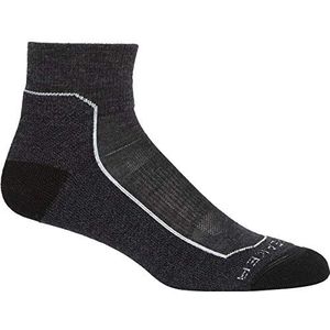 Icebreaker Merino Hike+ lichte sokken voor heren