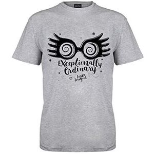 Harry Potter Exceptional Ordinary T-shirt voor heren, officieel gelicentieerd product, S-XXL Wizarding World Hogwarts T-shirt, ronde hals, verjaardagscadeau voor heren, thuis of in de sportschool, grijs, S, grijs.