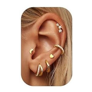 Dochais 6 paar hypoallergene creolen van 316L chirurgisch staal 14K verguld hypoallergeen voor dames, Roestvrij staal, Geen edelsteen