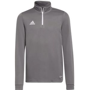adidas Ent22 Tr Topy Sweatshirt voor kinderen, uniseks, Meerkleurig (Tegrfo)