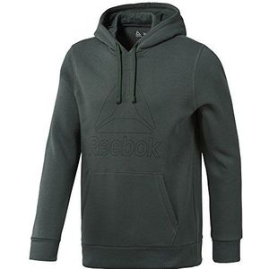 Reebok Te Big Logo Hoodie, blauw (bunblu)