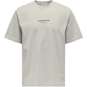 Only & Sons Onscurated Rlx Print Ss Tee T-shirt voor heren, Zilveren voering.