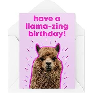 Grappige verjaardagskaarten | verjaardagskaart ""Have A Lama-Zing"" | grappige wenskaart voor hem en haar | Humor Laughter Blague Fun | CBH191