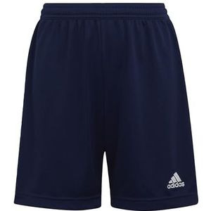 adidas - Entrada 22 Shorts Youth - Voetbalbroekje Kids