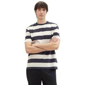 TOM TAILOR Denim 1040844 T-shirt voor heren, 34973 - Grijs beige blauw Big Stripe