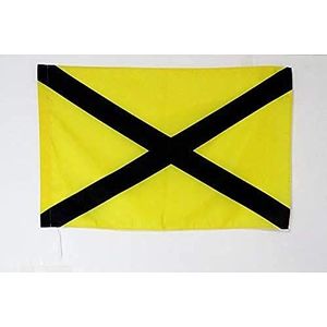 AZ FLAG Vlag geel met zwart kruis, 90 x 60 cm, commissievlag, 60 x 90 cm, schede voor vlaggenstok