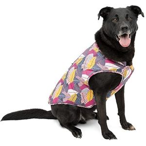 Kurgo Loft Winterjas voor honden, omkeerbaar, reflecterend, om te dragen met tuigje, waterdicht, voor kleine, middelgrote en grote huisdieren (herfstfestival, XS)