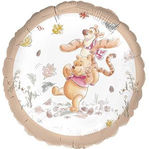 Disney Winnie the Pooh Sd Foil