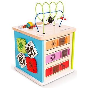 Baby Einstein Hape Innovation Station speelkubus van hout